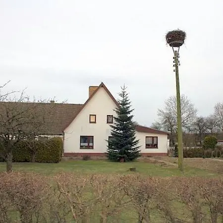 Ruegen_fewo 124 Appartement